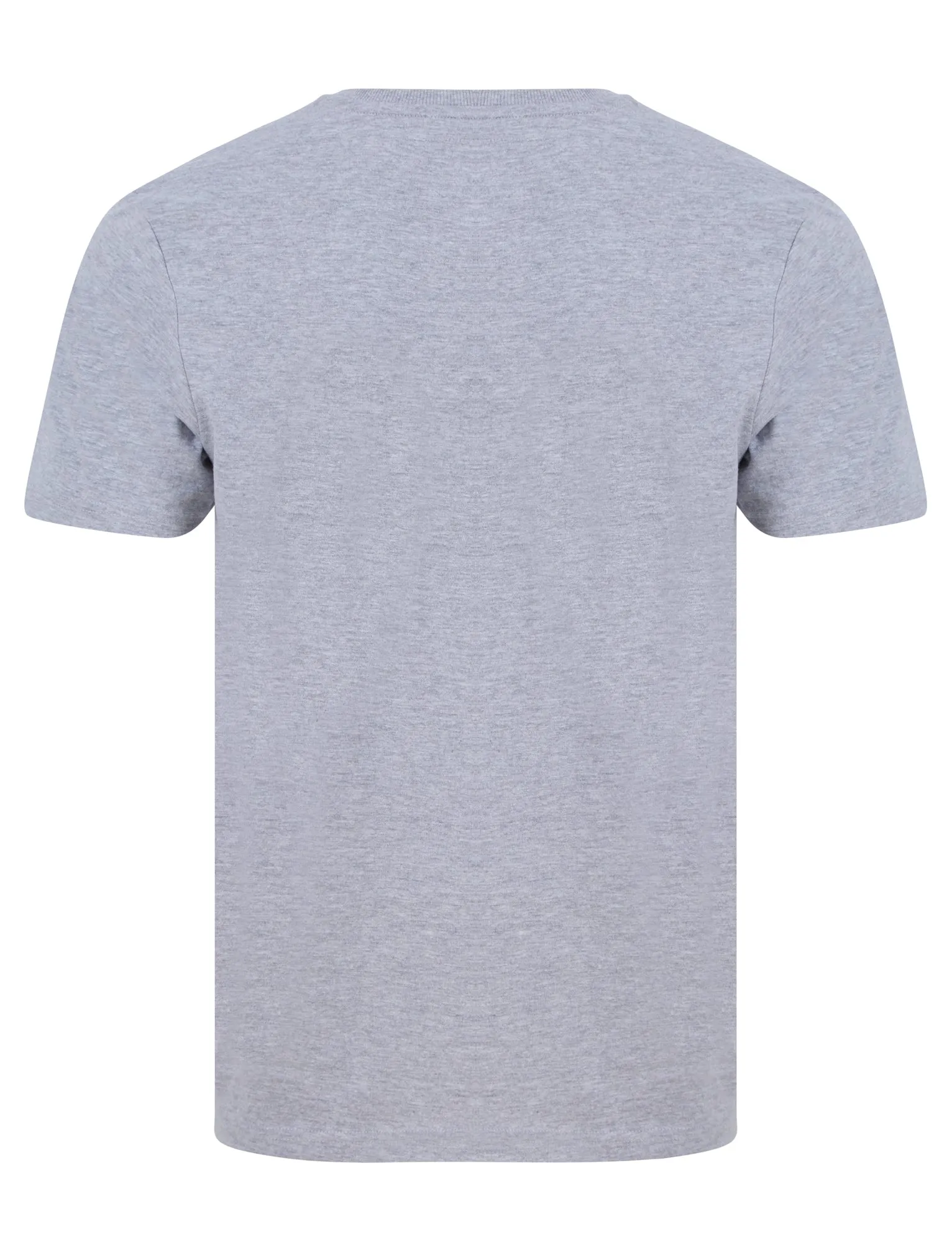 Bluesy Tee Motif Cotton Jersey T-Shirt in Light Grey Marl - Tokyo Laundry
