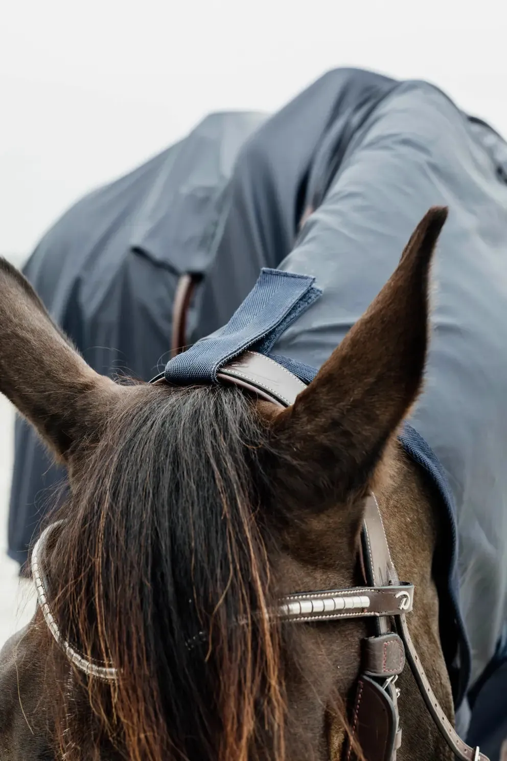 Horse Raincoat Hurricane with Stirrup Holes