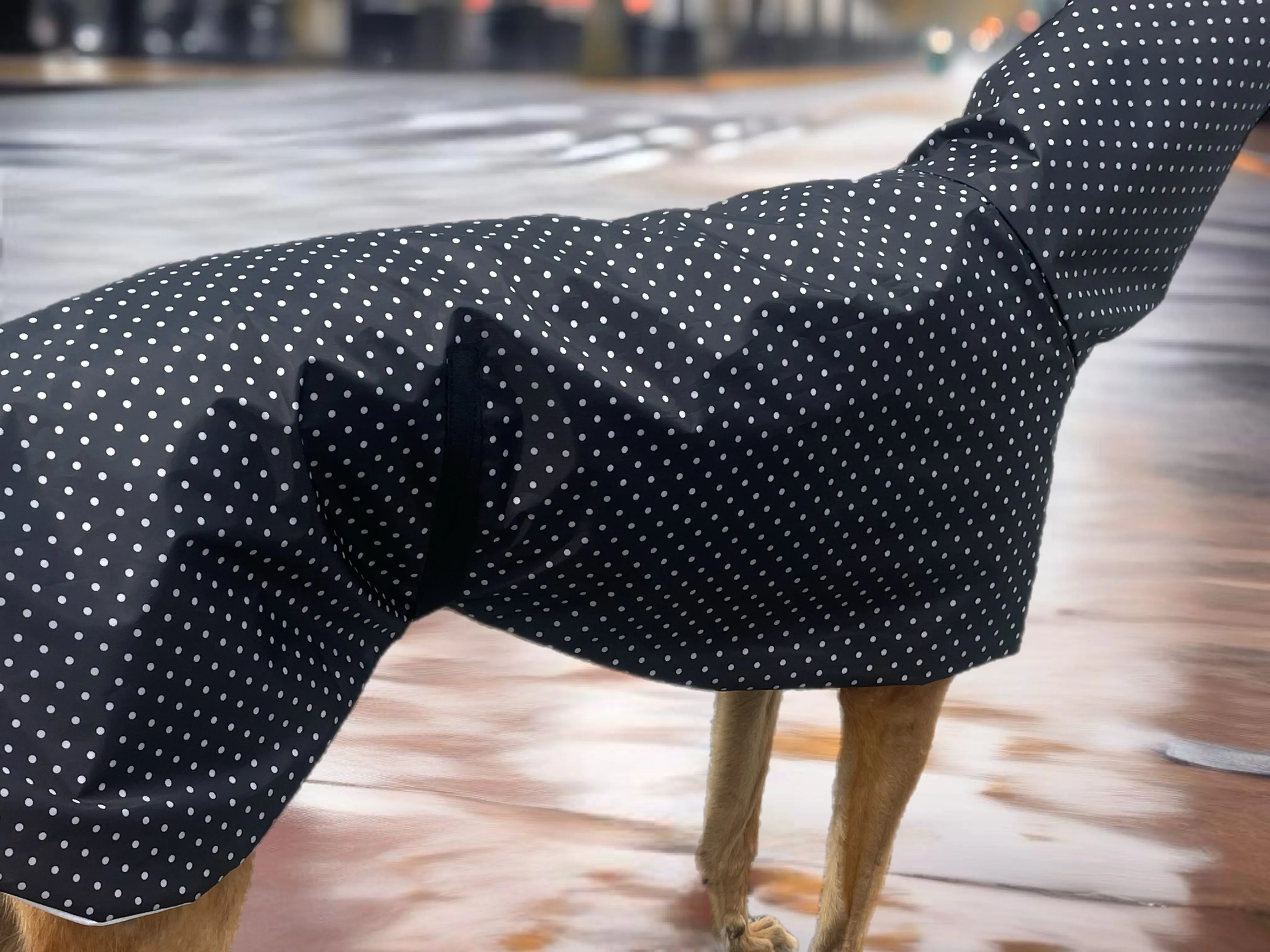 Summer rainwear midnight black Greyhound deluxe style, spring showers, ultra lightweight
